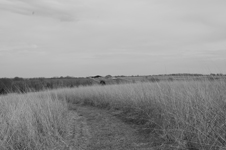 Home on the Range BW
Copyright © 2009 David M Bandler, All Rights Reserved.